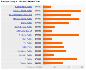 it auditor salary